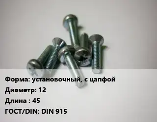 Винт установочный, с цапфой 12х45 DIN 915